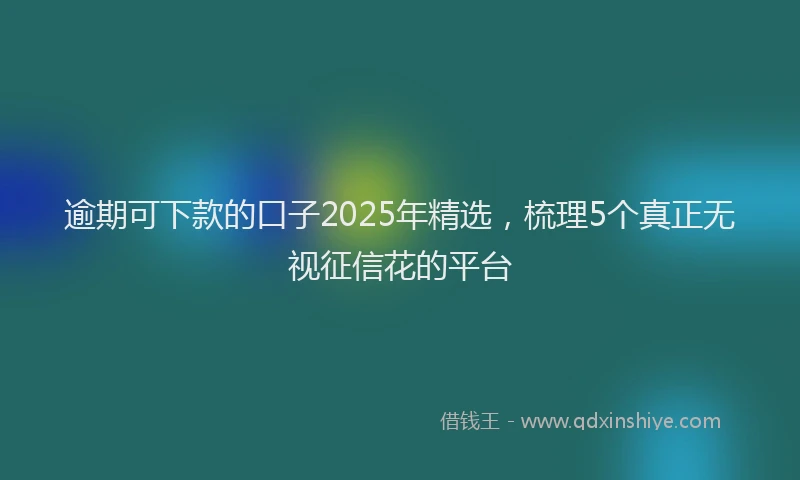 逾期可下款的口子2025年精选，梳理5个真正无视征信花的平台