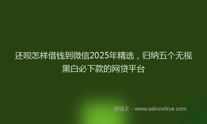 还呗怎样借钱到微信2025年精选，归纳五个无视黑白必下款的网贷平台