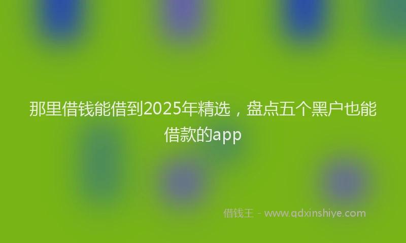那里借钱能借到2025年精选，盘点五个黑户也能借款的app