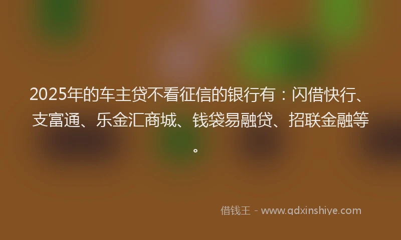 2025年的车主贷不看征信的银行有：闪借快行、支富通、乐金汇商城、钱袋易融贷、招联金融等。