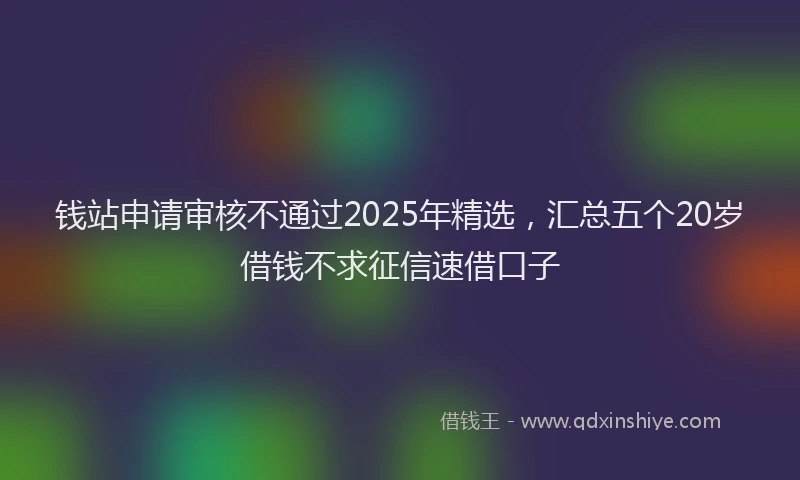 钱站申请审核不通过2025年精选，汇总五个20岁借钱不求征信速借口子
