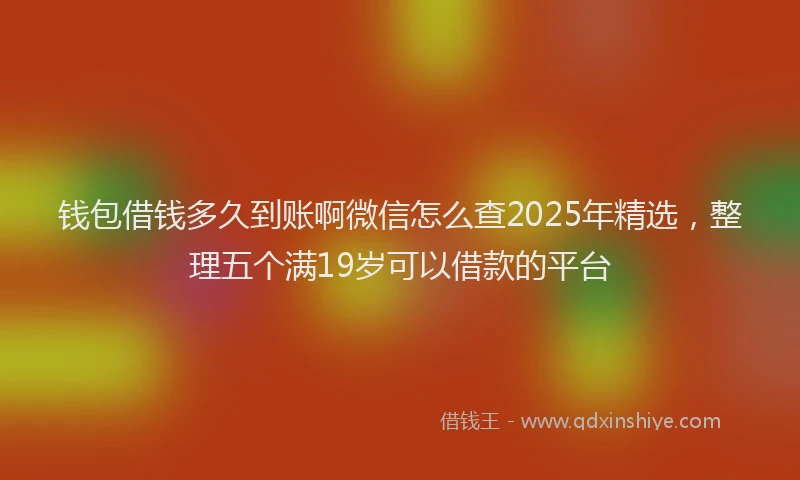 钱包借钱多久到账啊微信怎么查2025年精选，整理五个满19岁可以借款的平台