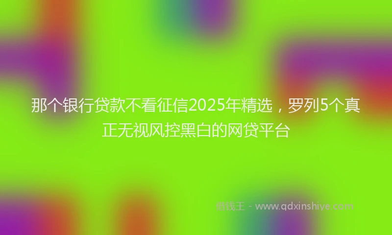 那个银行贷款不看征信2025年精选，罗列5个真正无视风控黑白的网贷平台