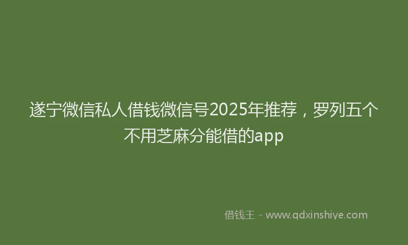 遂宁微信私人借钱微信号2025年推荐，罗列五个不用芝麻分能借的app