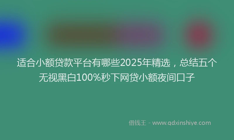 适合小额贷款平台有哪些2025年精选，总结五个无视黑白100%秒下网贷小额夜间口子