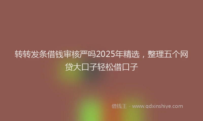 转转发条借钱审核严吗2025年精选，整理五个网贷大口子轻松借口子
