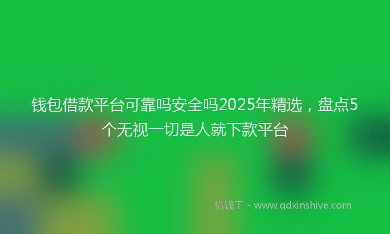 钱包借款平台可靠吗安全吗2025年精选，盘点5个无视一切是人就下款平台