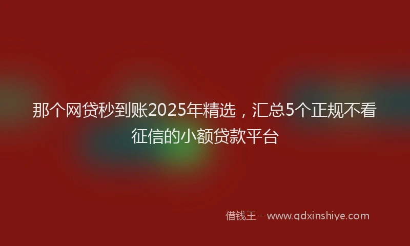 那个网贷秒到账2025年精选，汇总5个正规不看征信的小额贷款平台