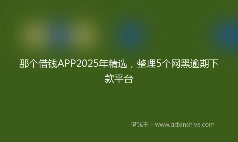 那个借钱APP2025年精选，整理5个网黑逾期下款平台