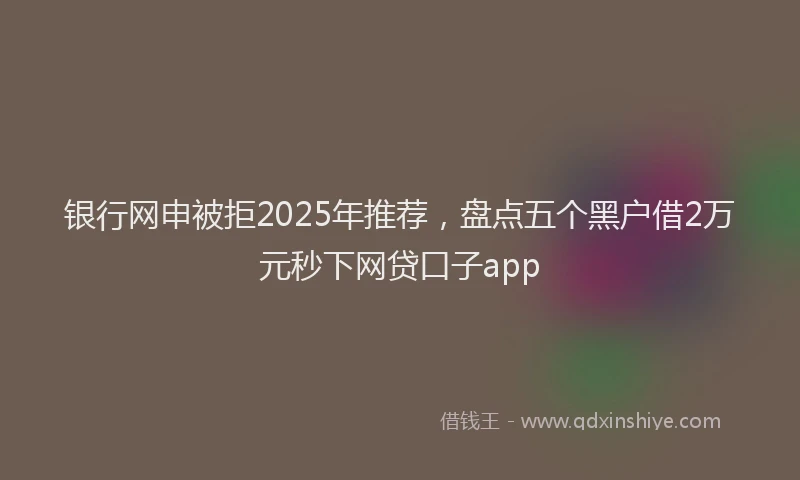 银行网申被拒2025年推荐，盘点五个黑户借2万元秒下网贷口子app