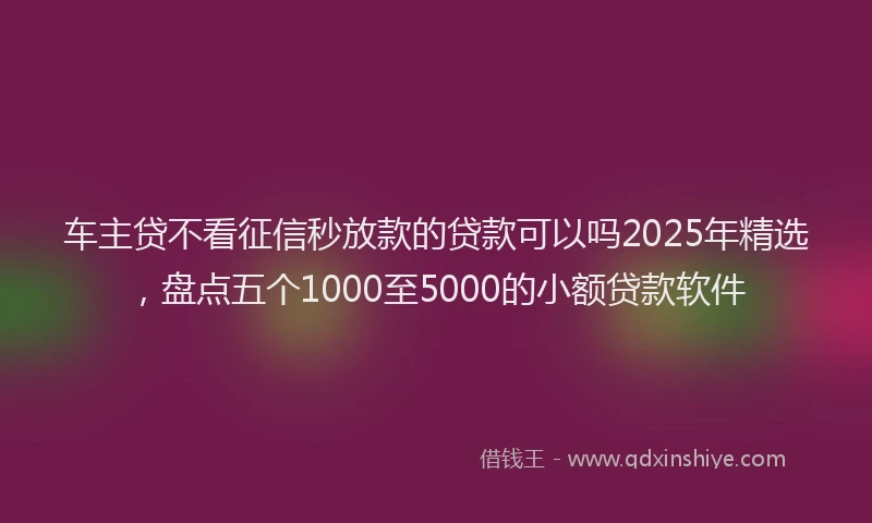 车主贷不看征信秒放款的贷款可以吗2025年精选，盘点五个1000至5000的小额贷款软件