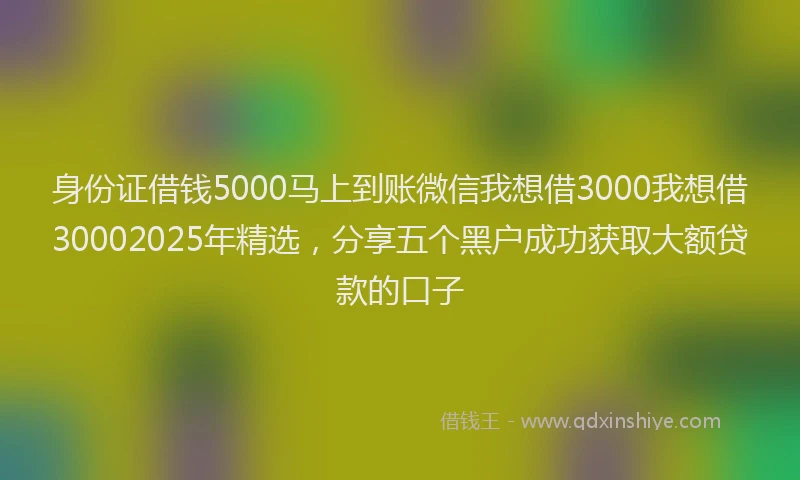 身份证借钱5000马上到账微信我想借3000我想借30002025年精选，分享五个黑户成功获取大额贷款的口子