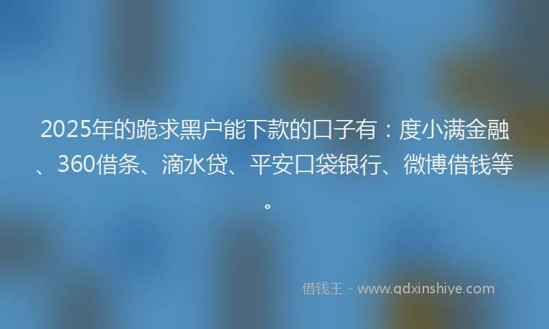 2025年的跪求黑户能下款的口子有：度小满金融、360借条、滴水贷、平安口袋银行、微博借钱等。
