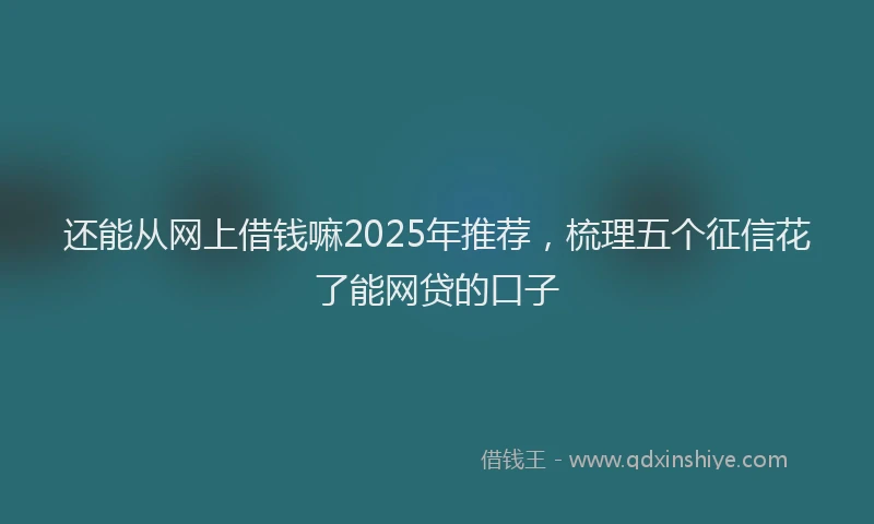 还能从网上借钱嘛2025年推荐，梳理五个征信花了能网贷的口子