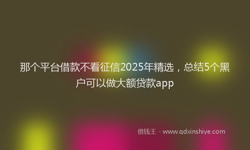 那个平台借款不看征信2025年精选，总结5个黑户可以做大额贷款app