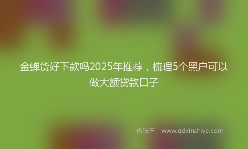 金蝉货好下款吗2025年推荐，梳理5个黑户可以做大额贷款口子