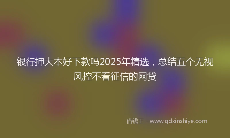 银行押大本好下款吗2025年精选，总结五个无视风控不看征信的网贷