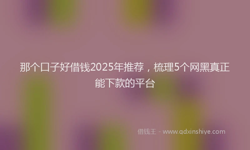 那个口子好借钱2025年推荐，梳理5个网黑真正能下款的平台