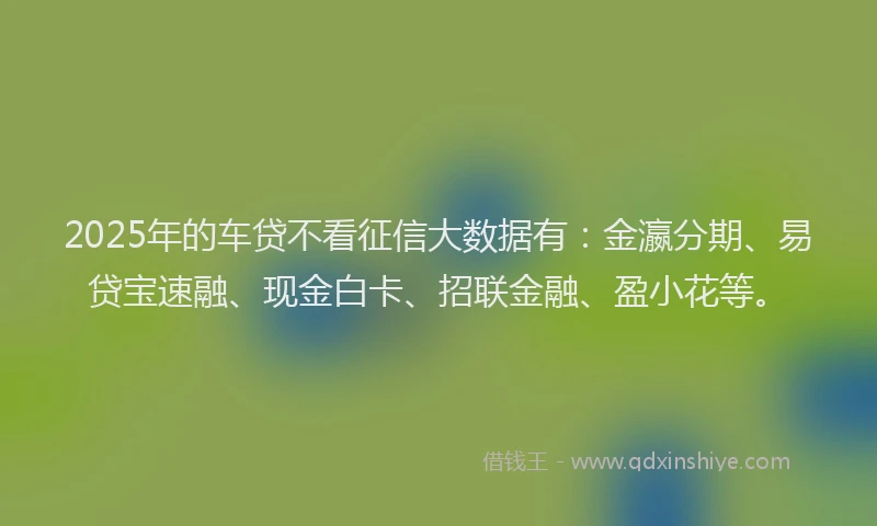 2025年的车贷不看征信大数据有：金瀛分期、易贷宝速融、现金白卡、招联金融、盈小花等。