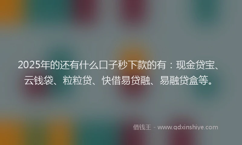 2025年的还有什么口子秒下款的有:现金贷宝、云钱袋、粒粒贷、快借易贷融、易融贷盒等。