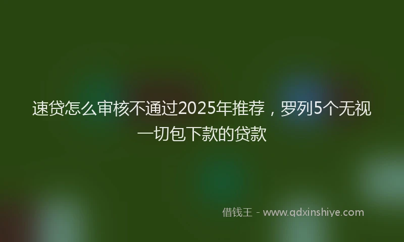 速贷怎么审核不通过2025年推荐，罗列5个无视一切包下款的贷款