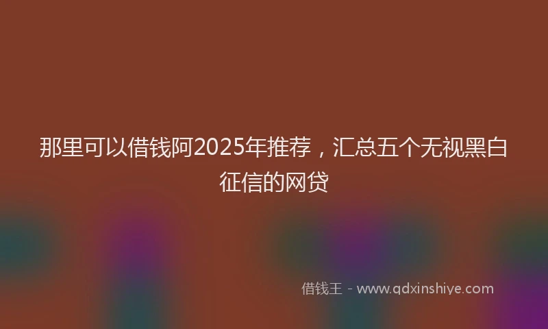那里可以借钱阿2025年推荐，汇总五个无视黑白征信的网贷