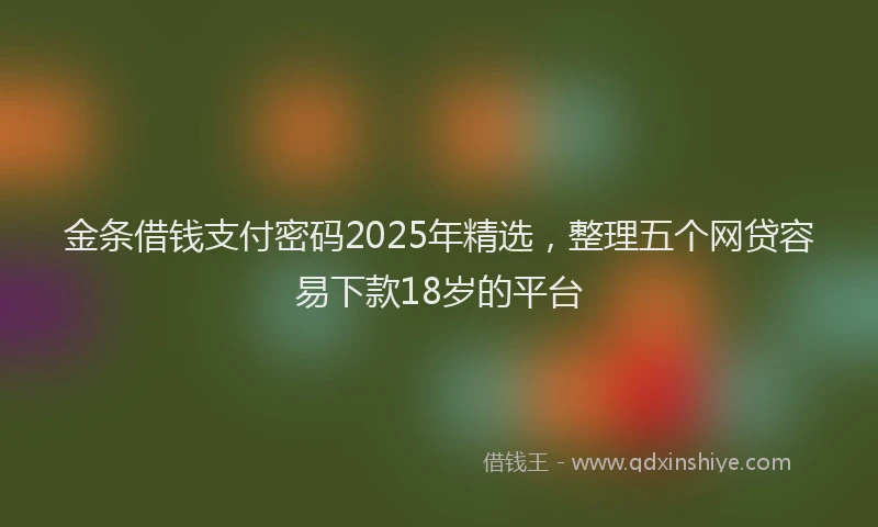 金条借钱支付密码2025年精选，整理五个网贷容易下款18岁的平台