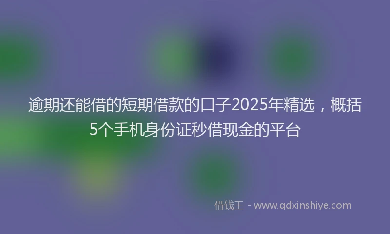 逾期还能借的短期借款的口子2025年精选，概括5个手机身份证秒借现金的平台