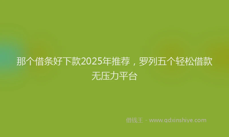 那个借条好下款2025年推荐，罗列五个轻松借款无压力平台