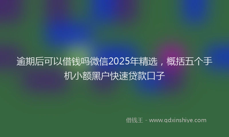 逾期后可以借钱吗微信2025年精选，概括五个手机小额黑户快速贷款口子
