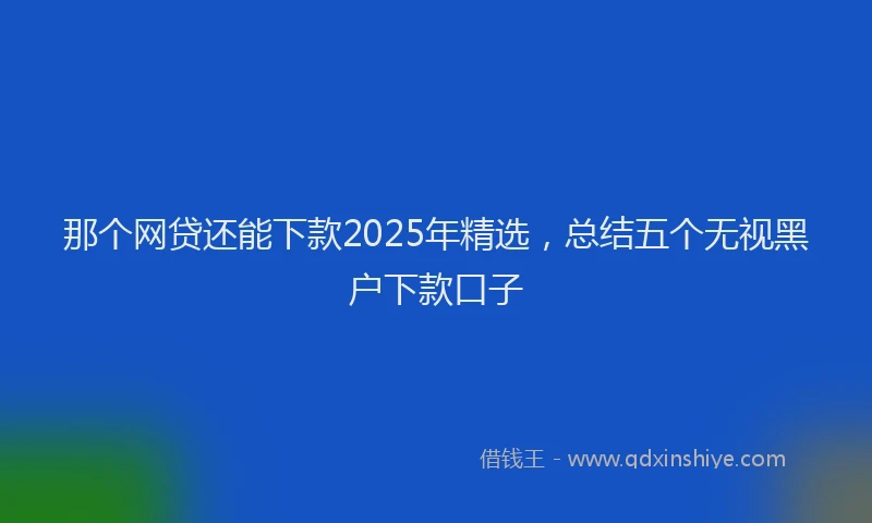 那个网贷还能下款2025年精选，总结五个无视黑户下款口子