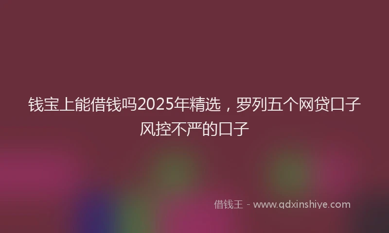钱宝上能借钱吗2025年精选，罗列五个网贷口子风控不严的口子