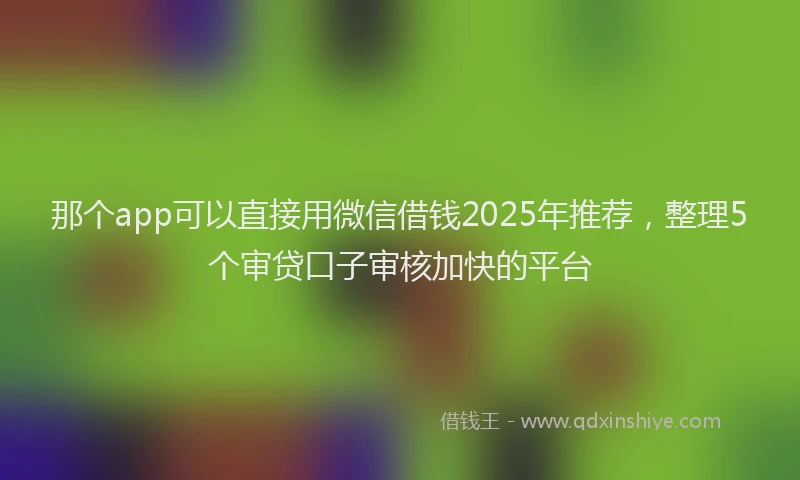那个app可以直接用微信借钱2025年推荐，整理5个审贷口子审核加快的平台