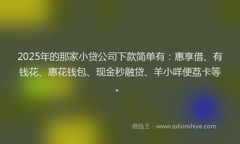 2025年的那家小贷公司下款简单有：惠享借、有钱花、惠花钱包、现金秒融贷、羊小咩便荔卡等。