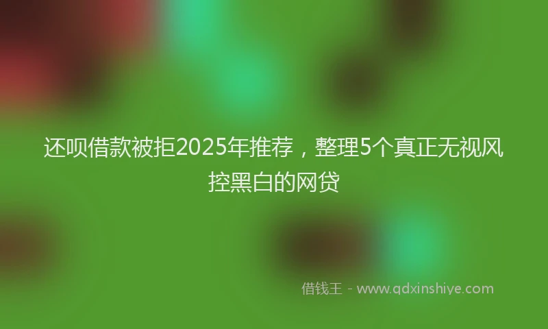 还呗借款被拒2025年推荐，整理5个真正无视风控黑白的网贷