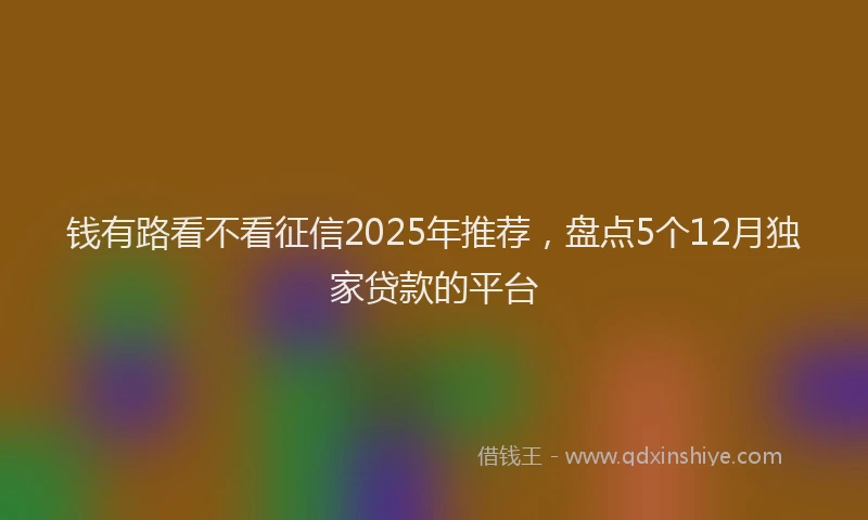 钱有路看不看征信2025年推荐，盘点5个12月独家贷款的平台