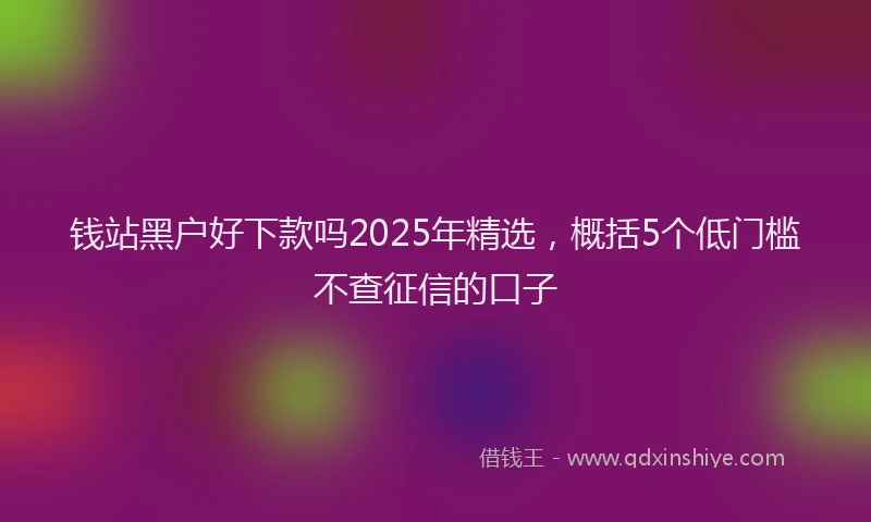 钱站黑户好下款吗2025年精选，概括5个低门槛不查征信的口子
