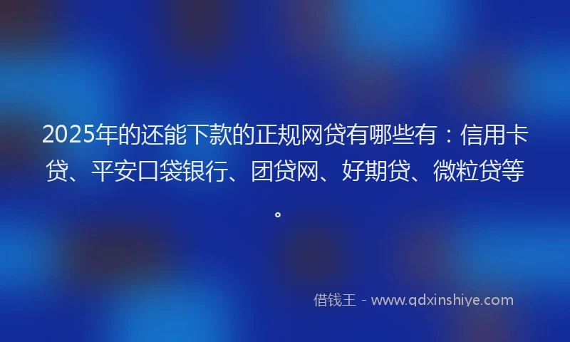 2025年的还能下款的正规网贷有哪些有：信用卡贷、平安口袋银行、团贷网、好期贷、微粒贷等。