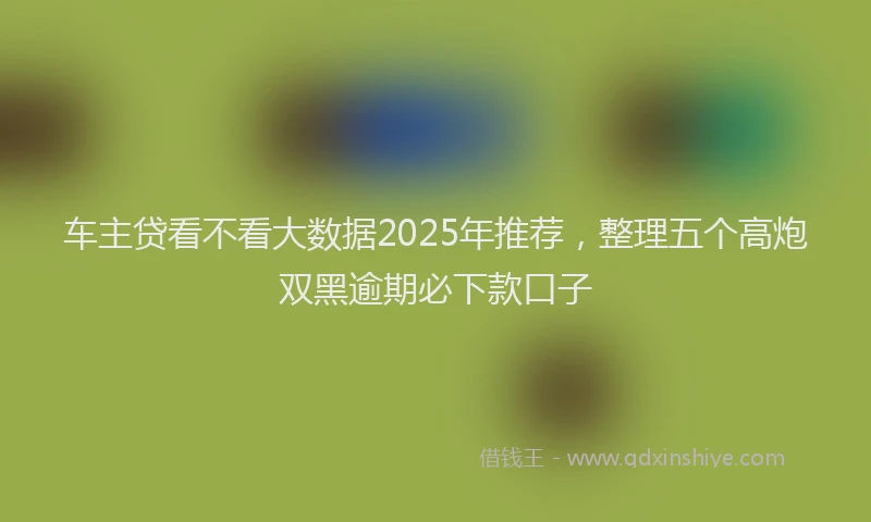 车主贷看不看大数据2025年推荐，整理五个高炮双黑逾期必下款口子