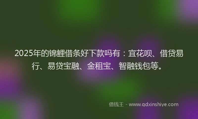 2025年的锦鲤借条好下款吗有：宜花呗、借贷易行、易贷宝融、金租宝、智融钱包等。