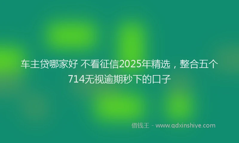车主贷哪家好 不看征信2025年精选，整合五个714无视逾期秒下的口子