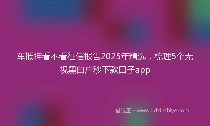 车抵押看不看征信报告2025年精选，梳理5个无视黑白户秒下款口子app