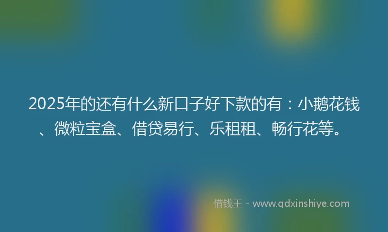 2025年的还有什么新口子好下款的有：小鹅花钱、微粒宝盒、借贷易行、乐租租、畅行花等。