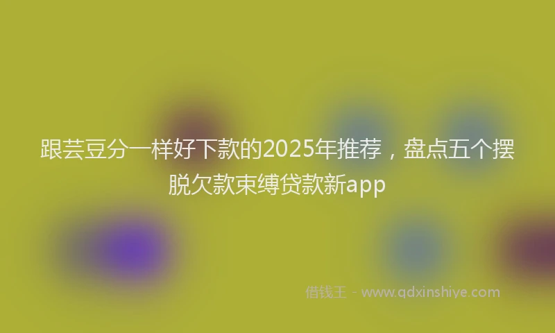 跟芸豆分一样好下款的2025年推荐，盘点五个摆脱欠款束缚贷款新app