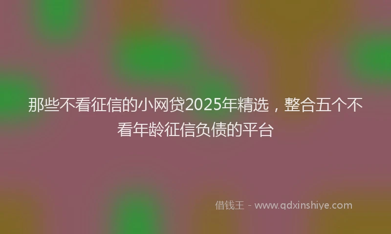 那些不看征信的小网贷2025年精选，整合五个不看年龄征信负债的平台