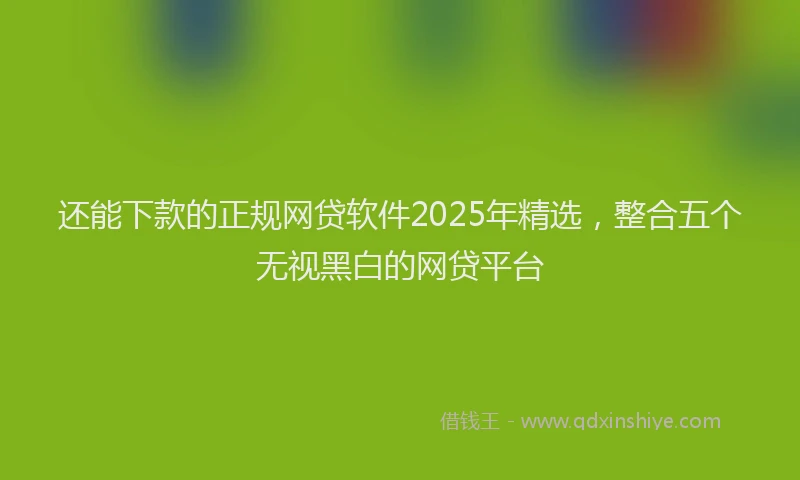 还能下款的正规网贷软件2025年精选，整合五个无视黑白的网贷平台