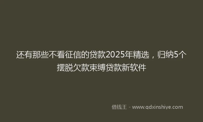 还有那些不看征信的贷款2025年精选，归纳5个摆脱欠款束缚贷款新软件