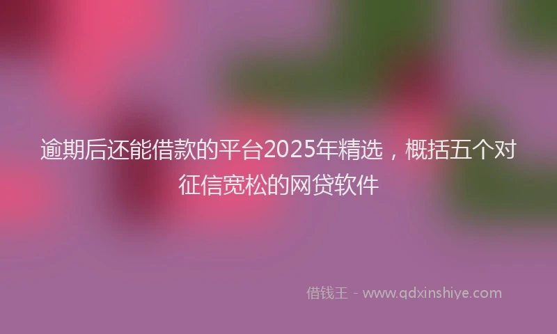 逾期后还能借款的平台2025年精选，概括五个对征信宽松的网贷软件