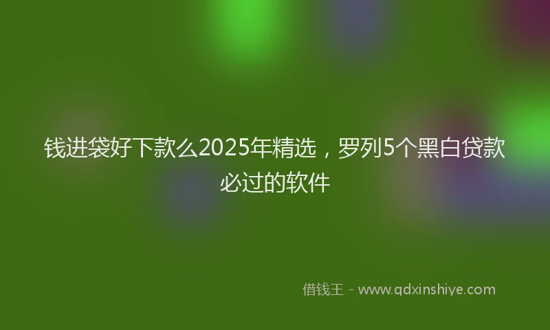 钱进袋好下款么2025年精选，罗列5个黑白贷款必过的软件