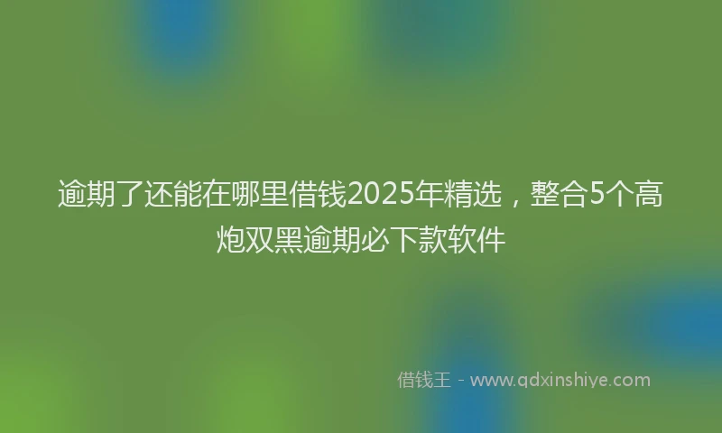 逾期了还能在哪里借钱2025年精选，整合5个高炮双黑逾期必下款软件